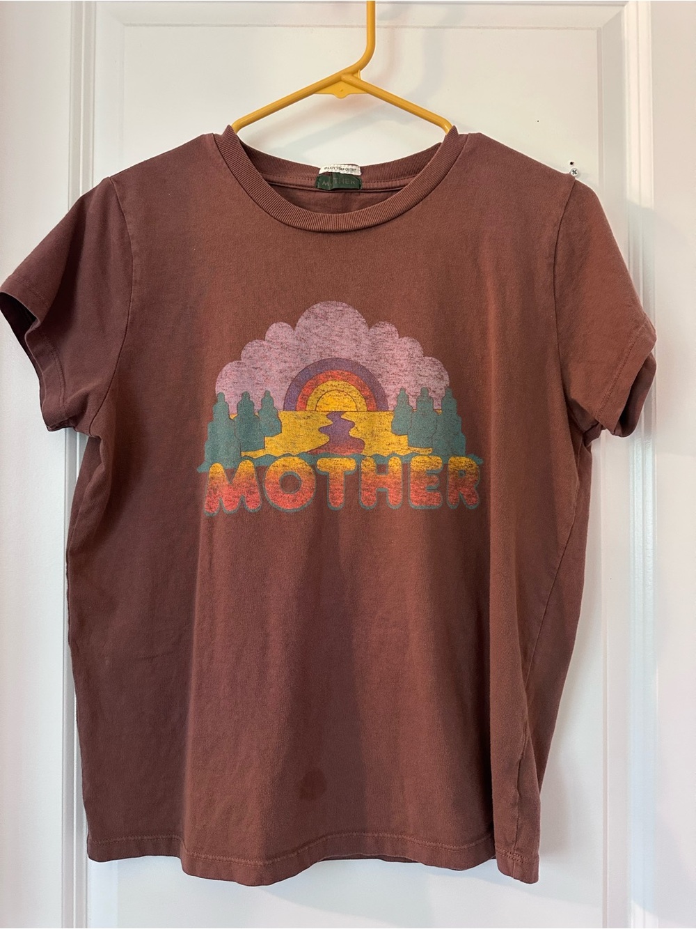 MOTHER Short Sleeve Tee in Rust with Multicolor Retro Graphic